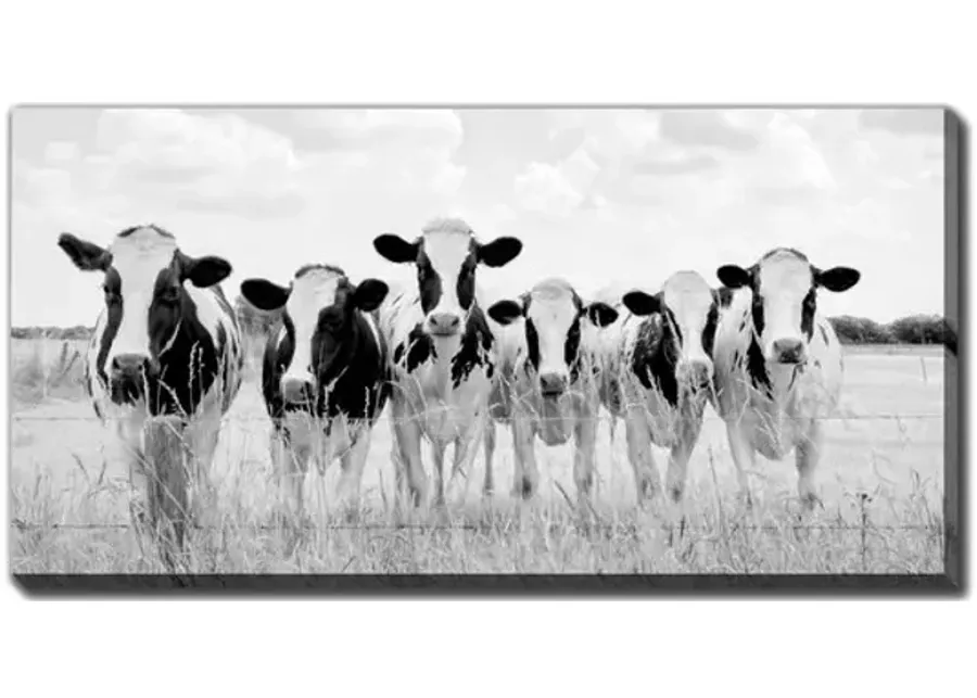 Grazing Pasture Canvas Art