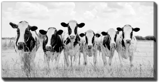 Grazing Pasture Canvas Art