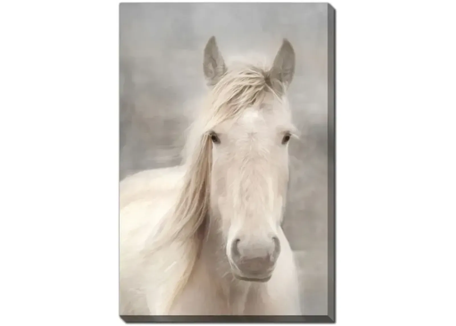 White Beauty I Canvas Art