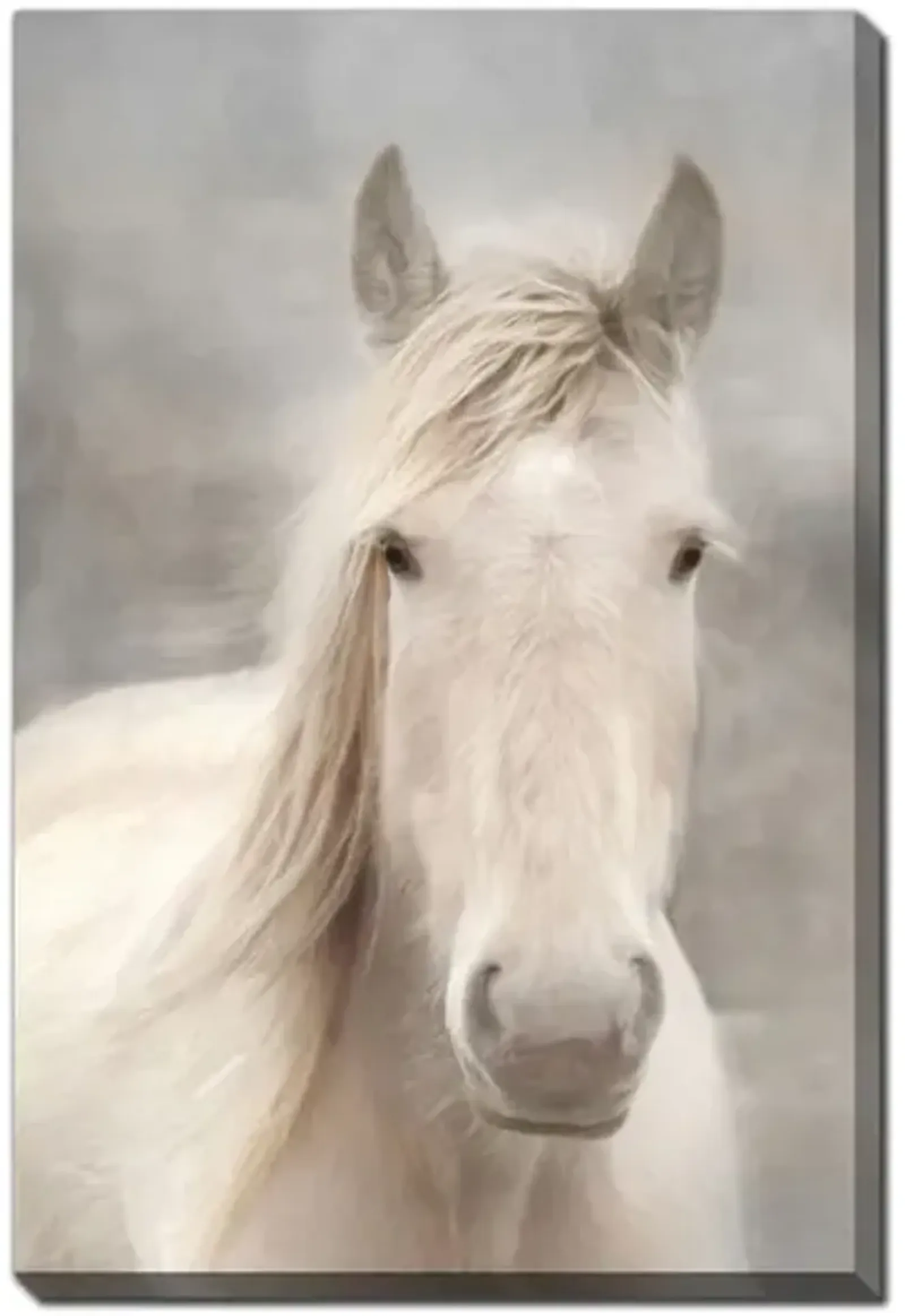 White Beauty I Canvas Art