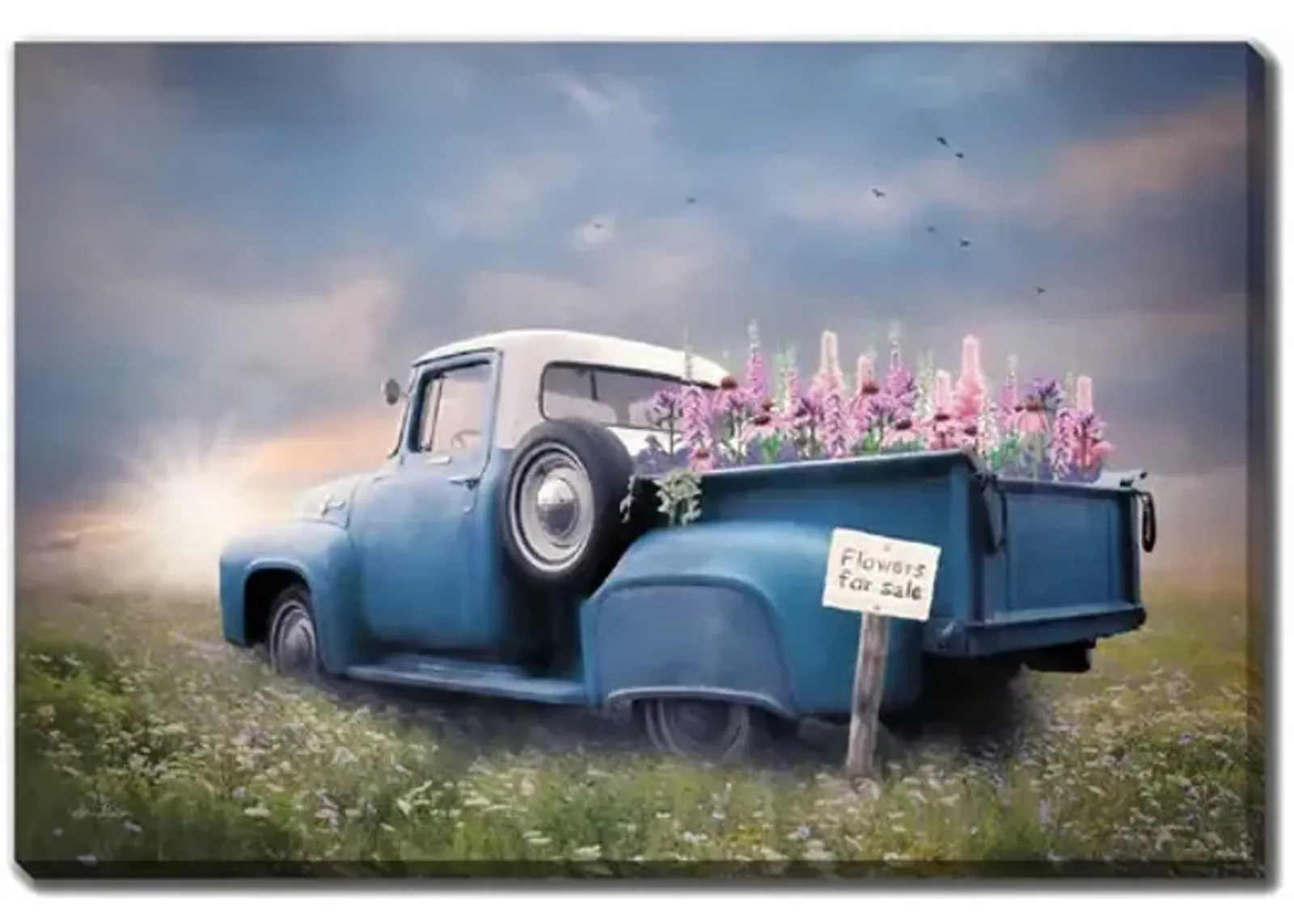 Blue Ford Flatbed with Foxglove Canvas Art