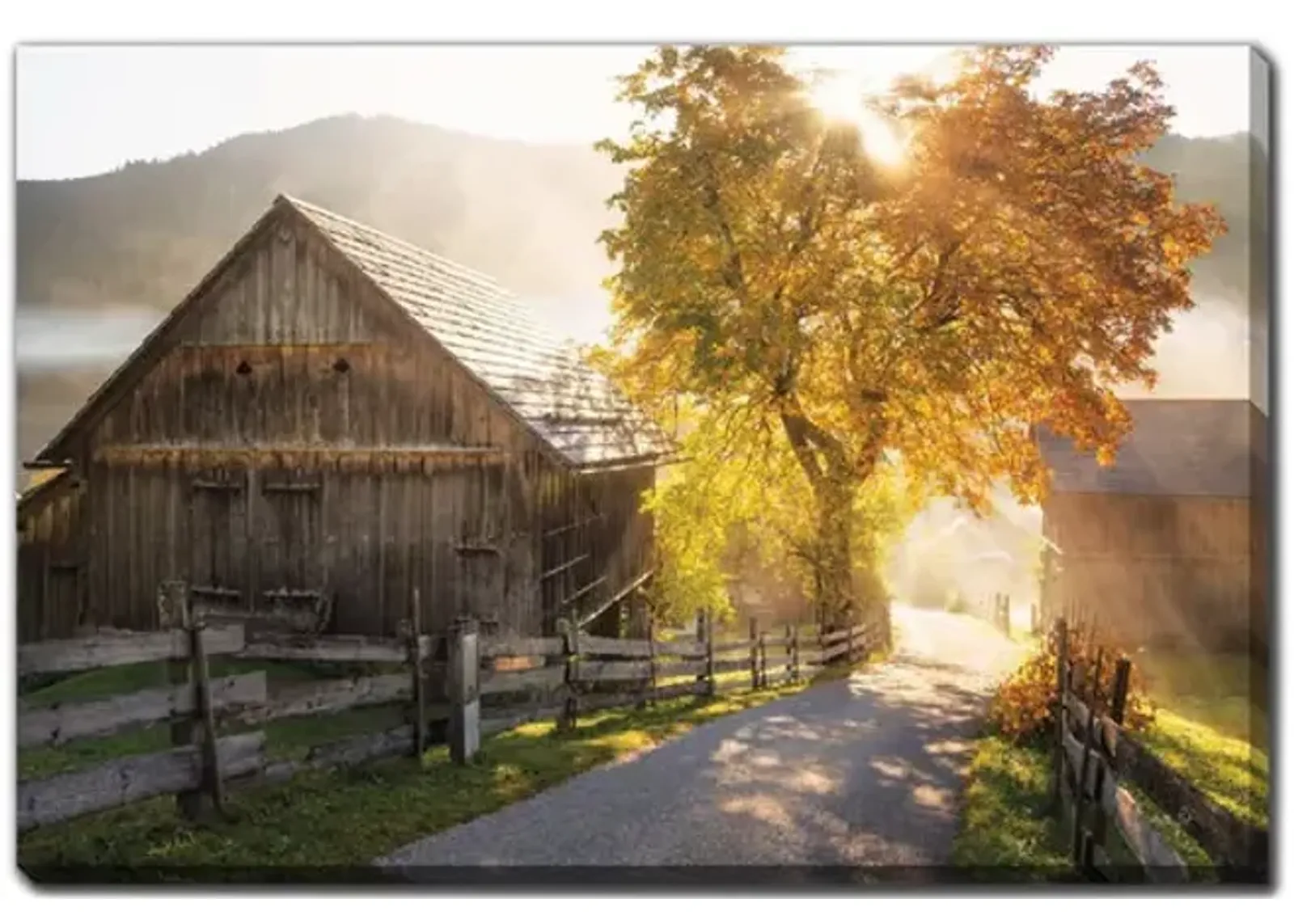 Autumn Road Canvas Art