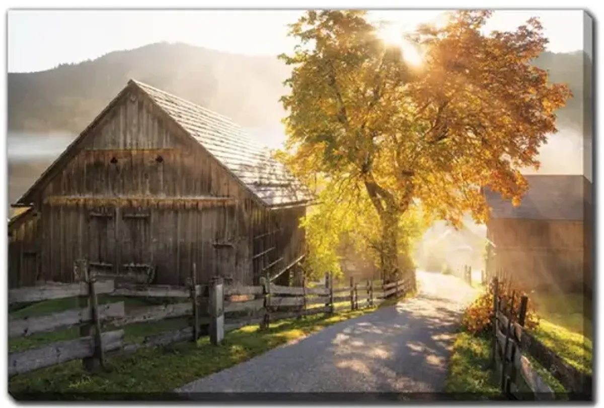 Autumn Road Canvas Art