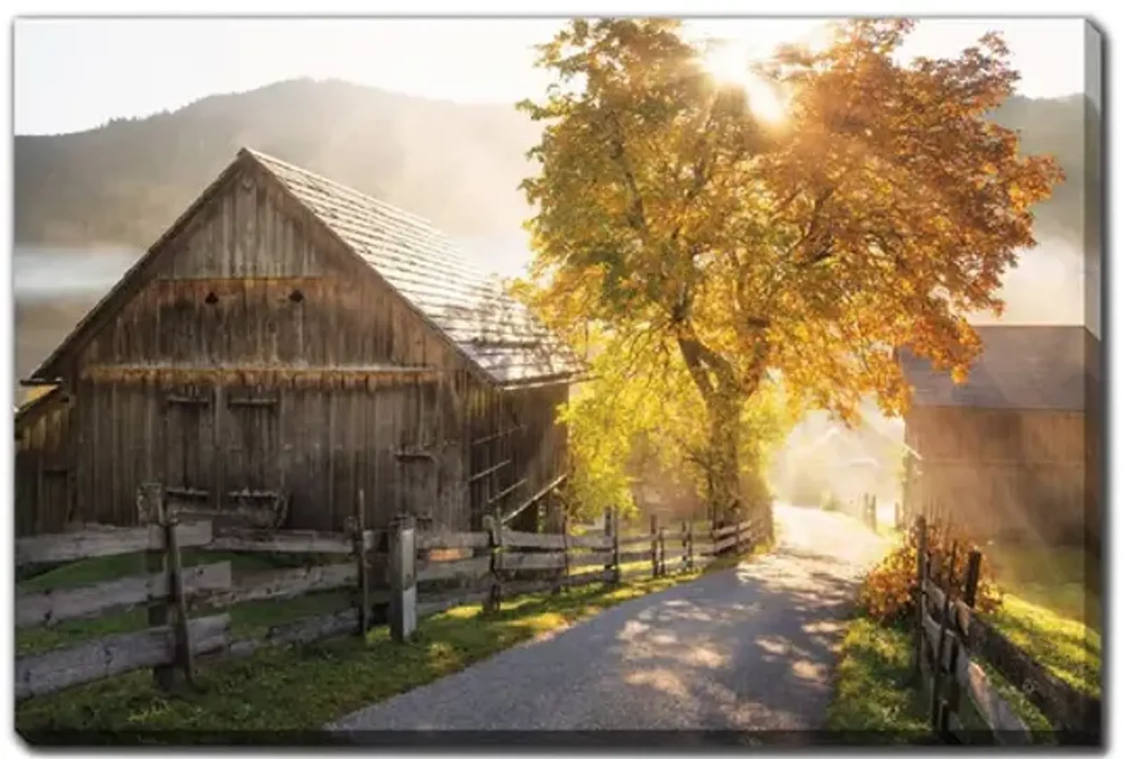 Autumn Road Canvas Art