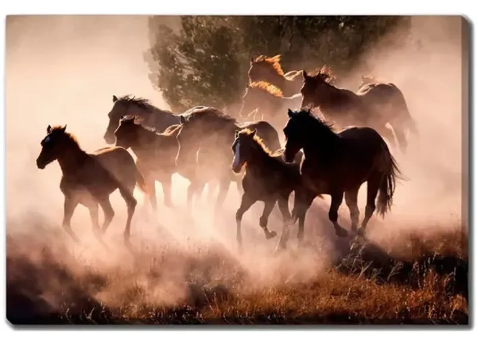 Horses Canvas Art