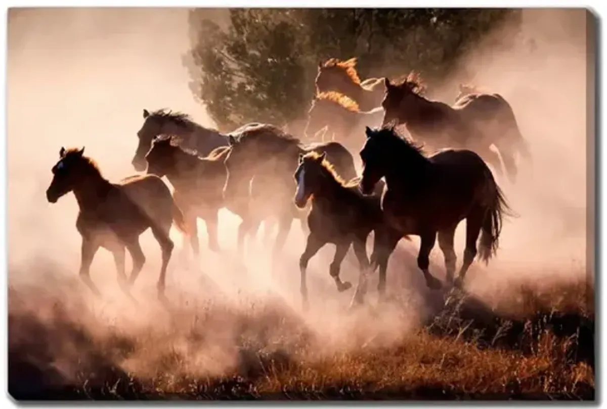 Horses Canvas Art