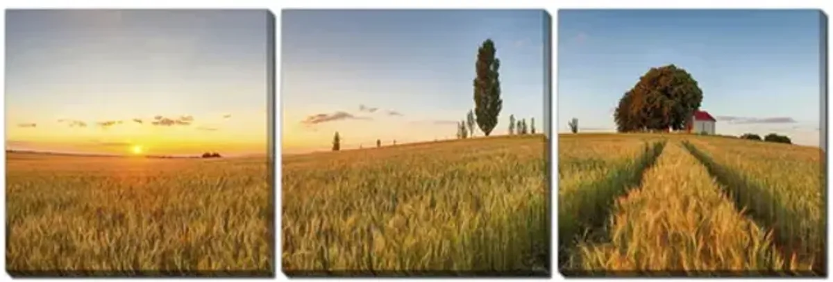 Summer Wheat Field Triptych Canvas Art