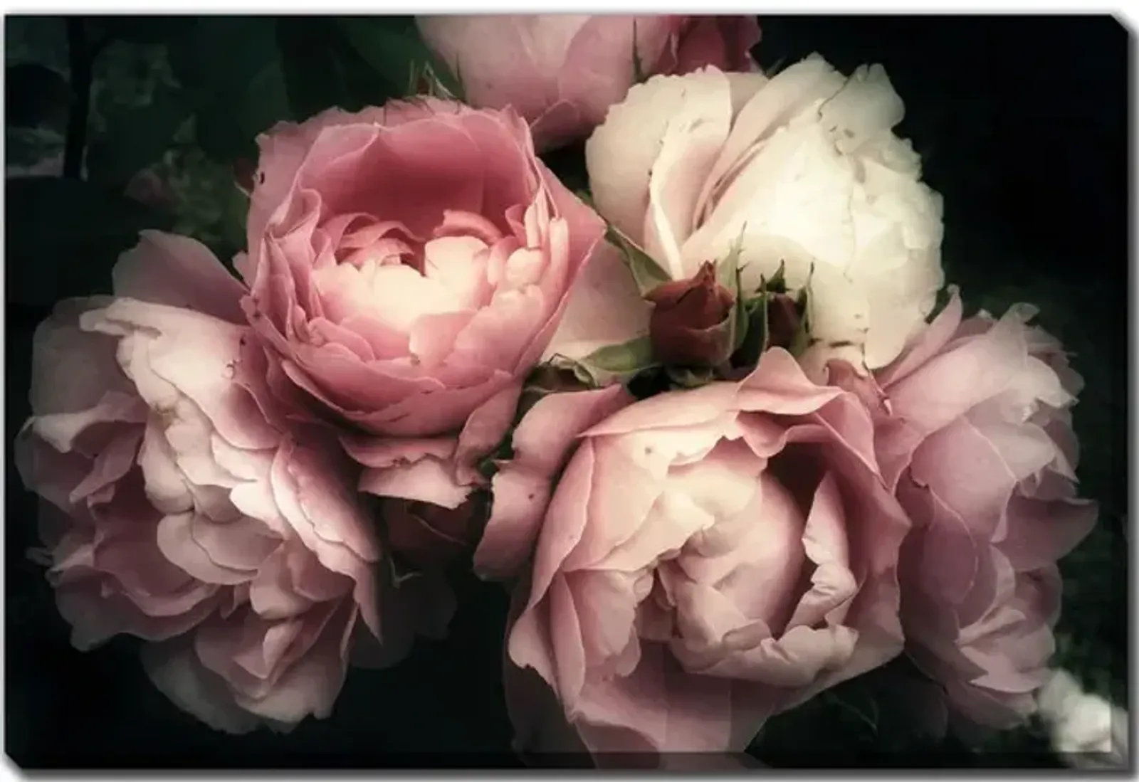 Bouquet of Pink Roses Canvas Art