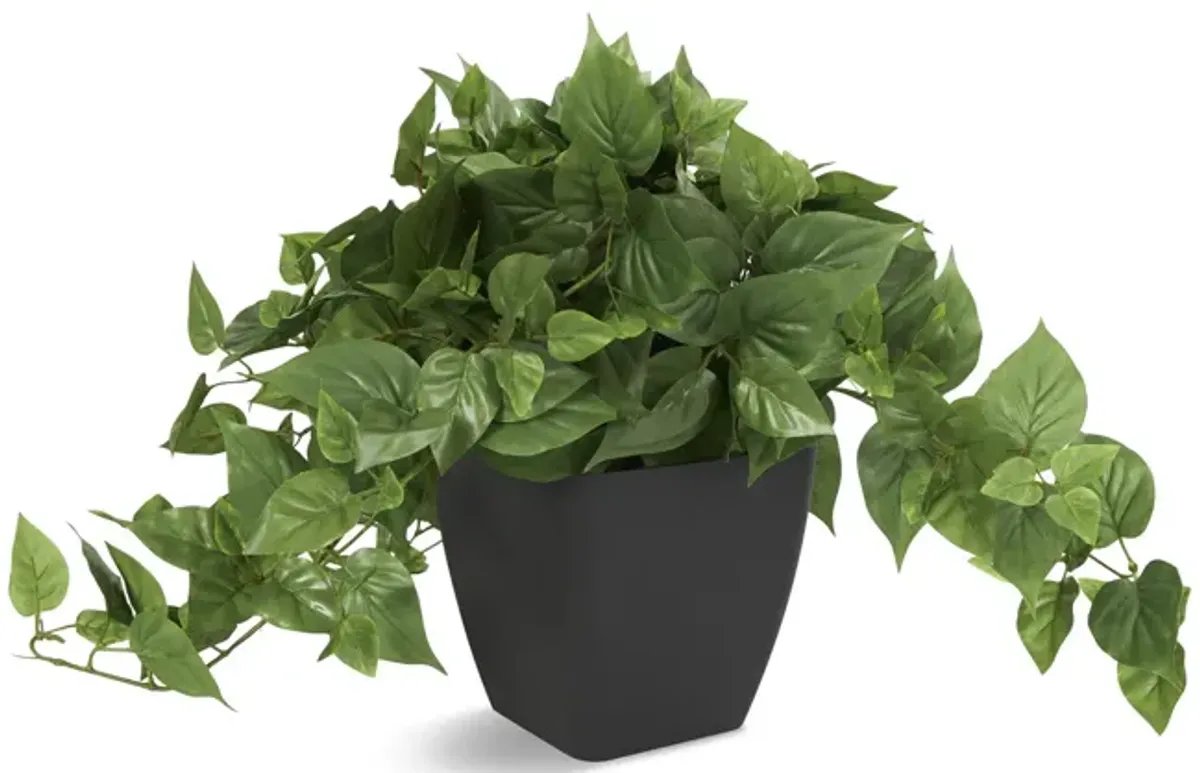 Pothos Faux Plant