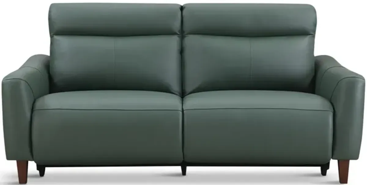 Bayfield Leather Power Sofa - Green