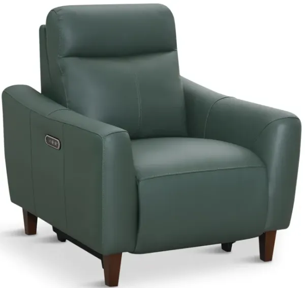 Bayfield Leather Power Recliner - Green