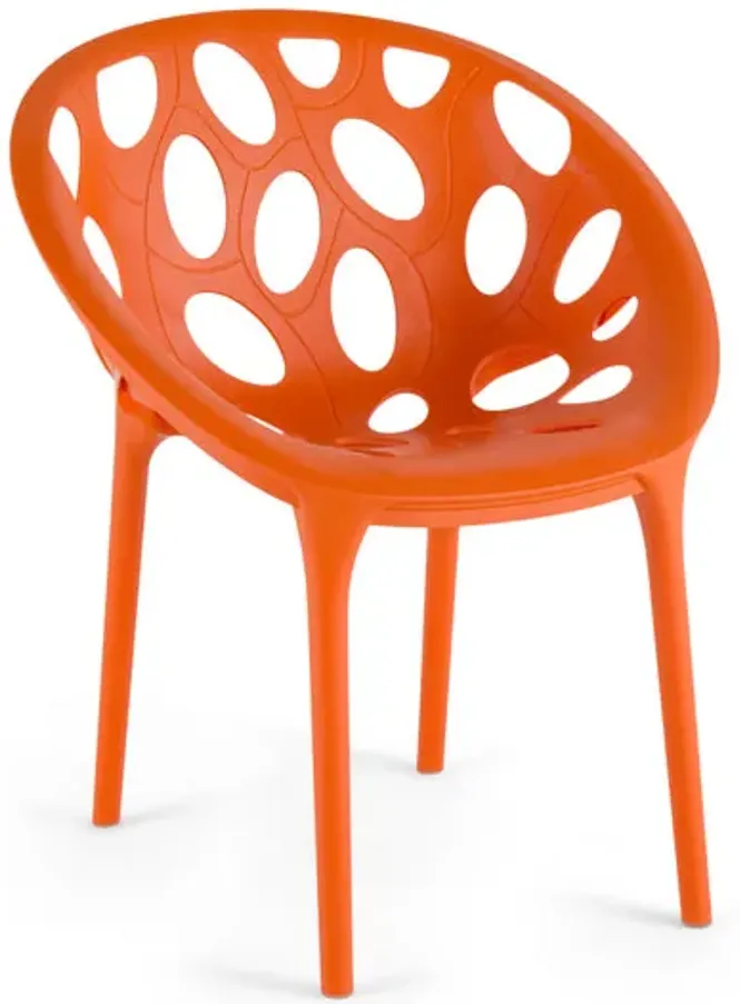 Nido Chair - Orange