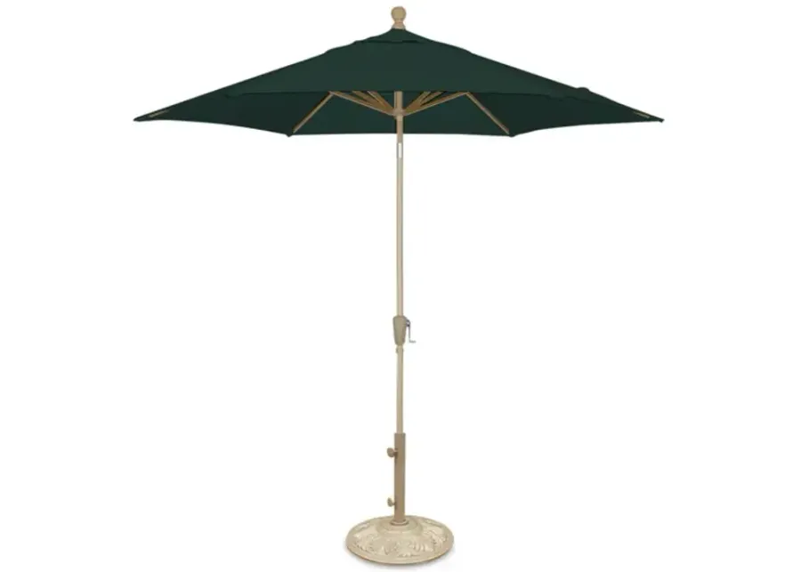 9  Market Umbrella With Champagne Pole