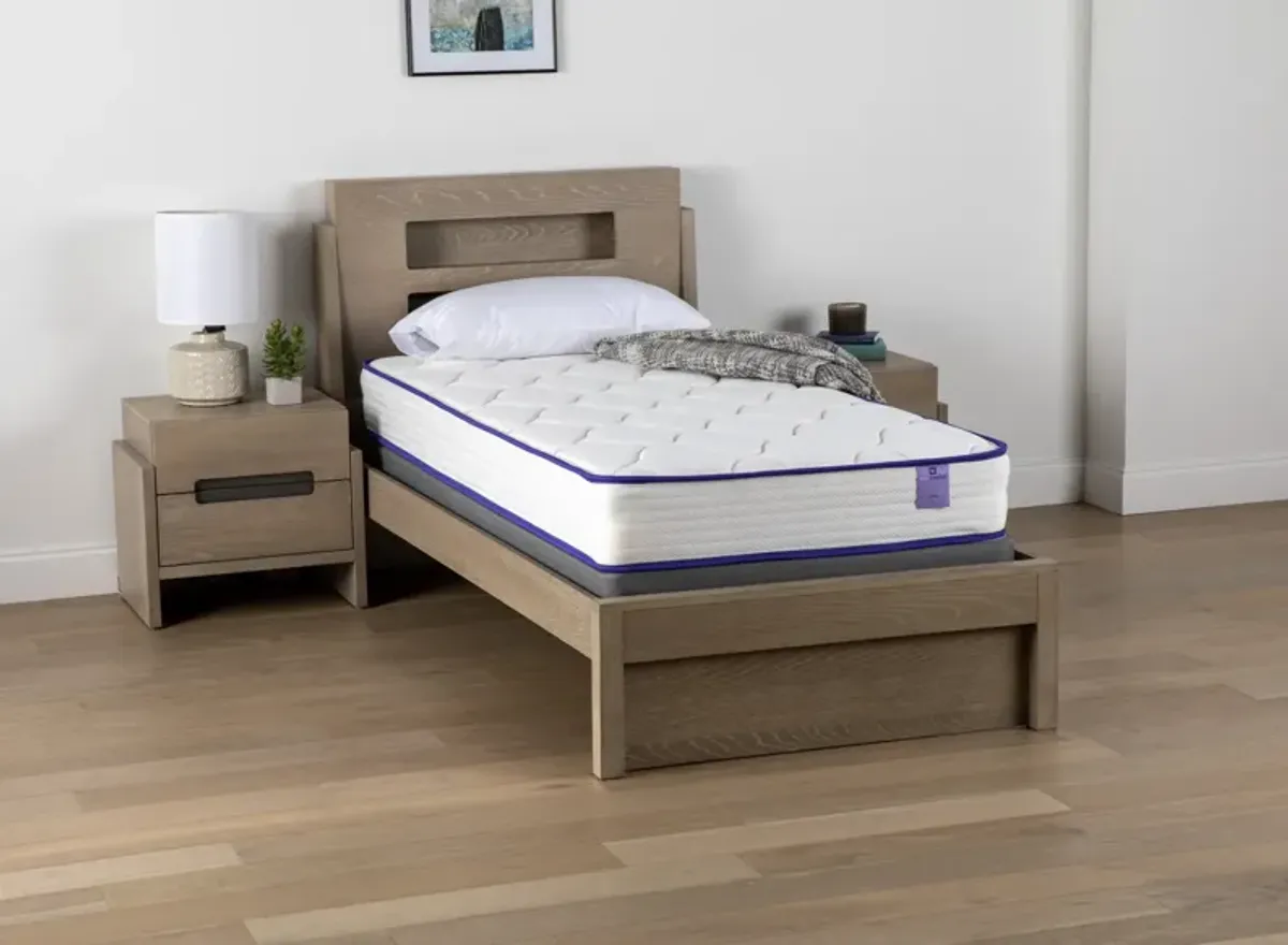 Ava Queen Mattress