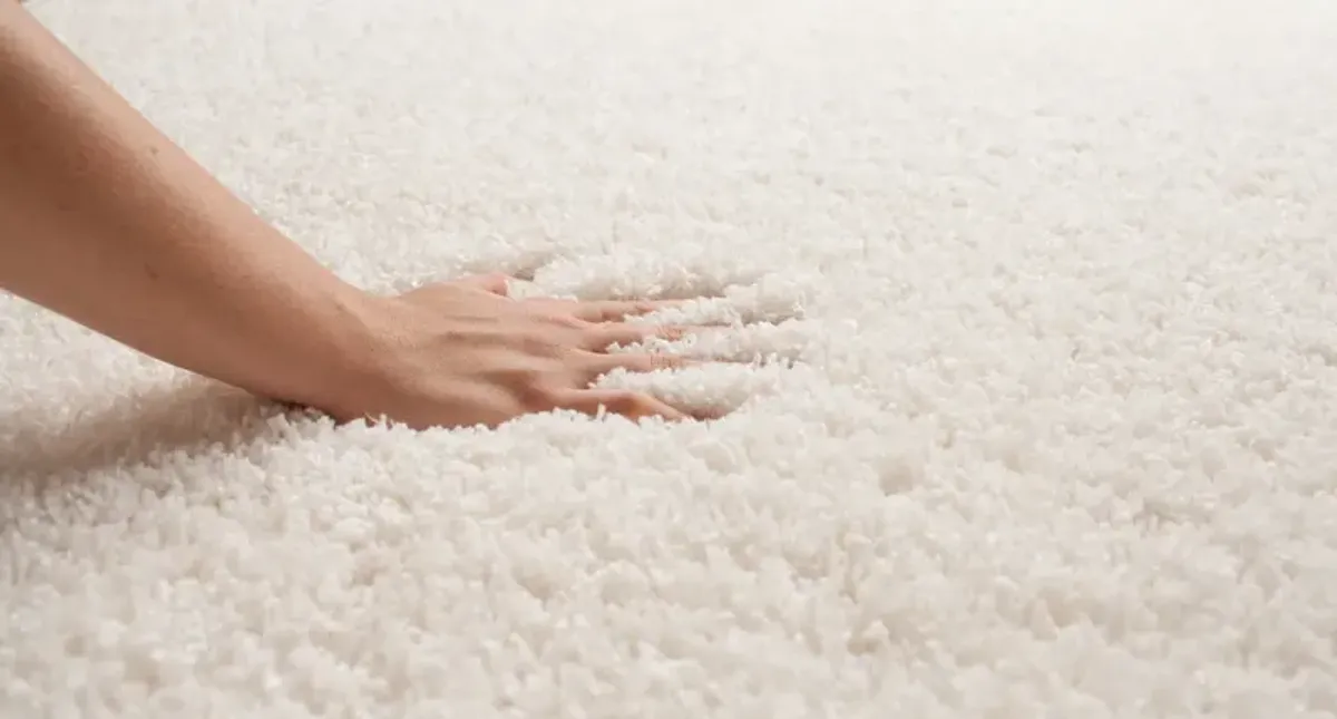 Bella Pearl Shag Area Rug - 5 0  X 7 0 