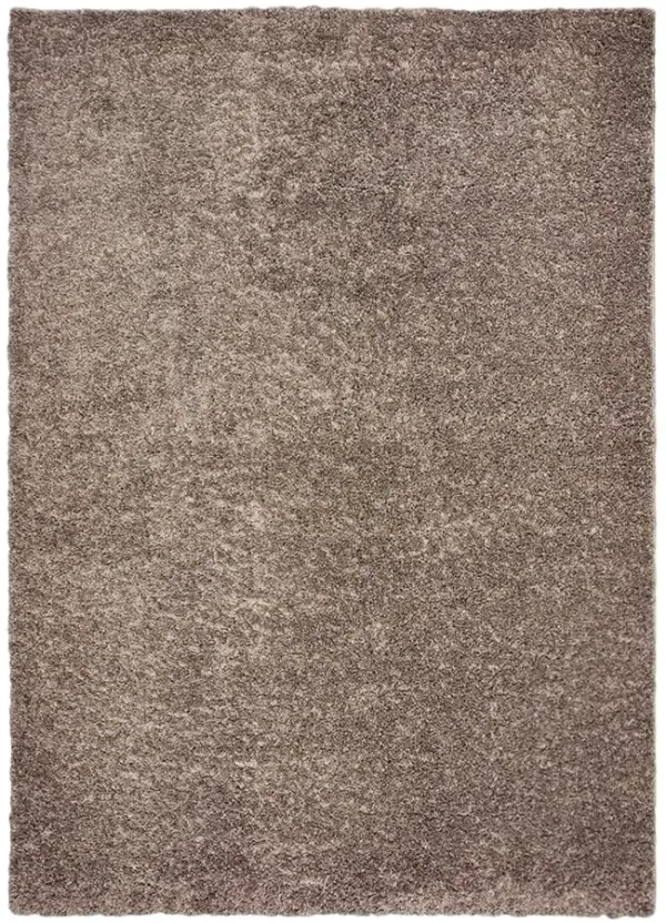 Bella Java Shag Area Rug - 5 0  X 7 0 