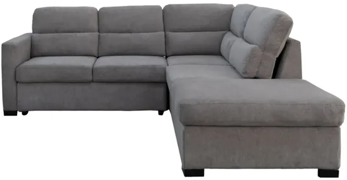 Sadie 2 Piece Pop Up Sleeper Sectional With Storage - Right Arm Chaise