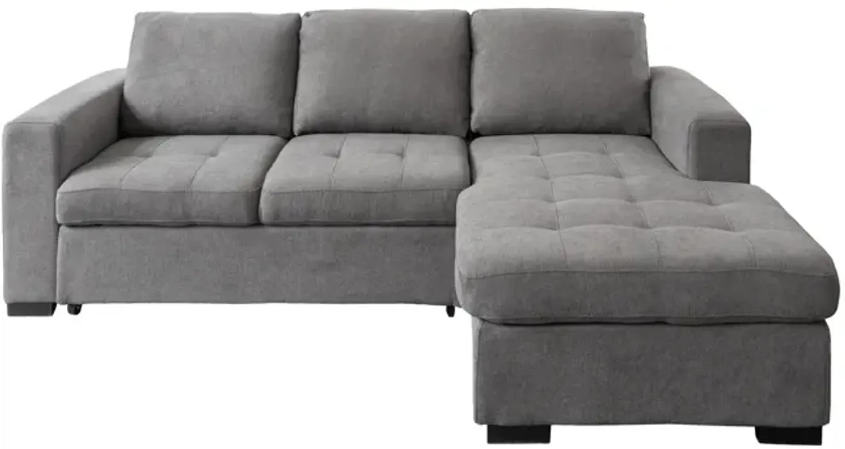 Louden 2 Piece Sleeper Sectional With Chaise - Left Arm Facing Sofa