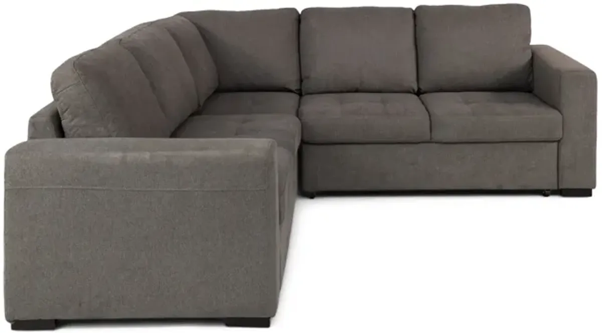 Louden 2 Piece Sleeper Sectional - Left Facing Sofa