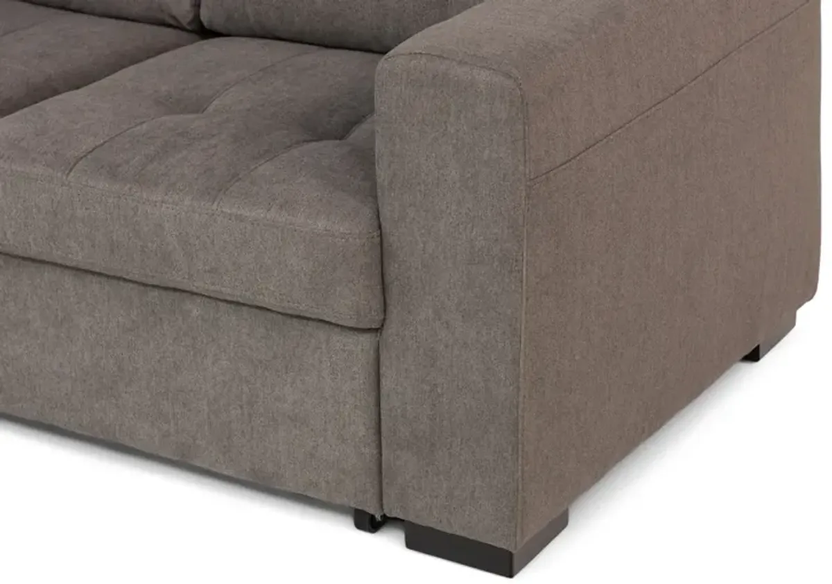 Louden 2 Piece Sleeper Sectional - Left Facing Sofa