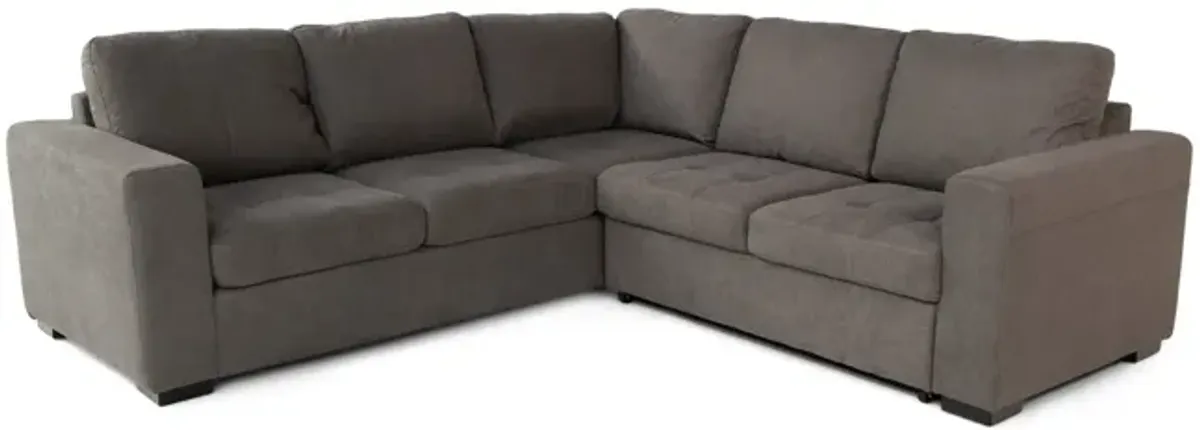 Louden 2 Piece Sleeper Sectional - Left Facing Sofa