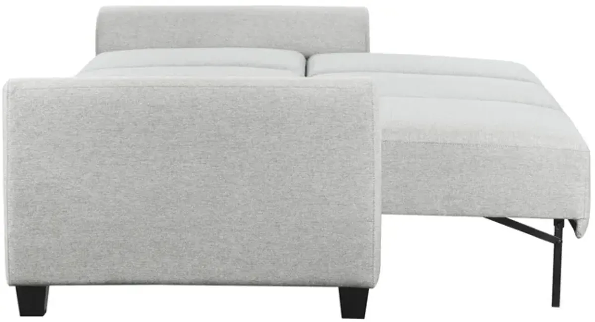 Rockwell Convertible Sofa Sleeper - Dove