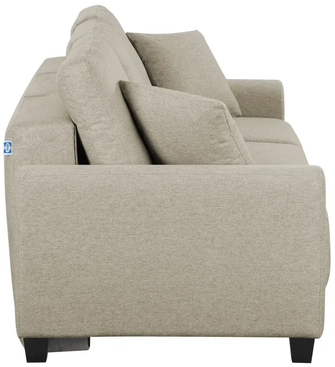 Rockwell Convertible Sofa Sleeper - Tumbleweed