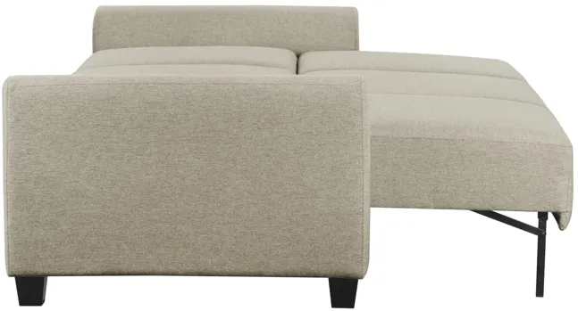 Rockwell Convertible Sofa Sleeper - Tumbleweed