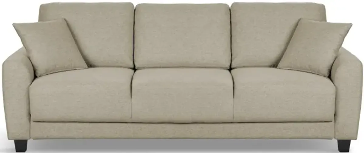 Rockwell Convertible Sofa Sleeper - Tumbleweed