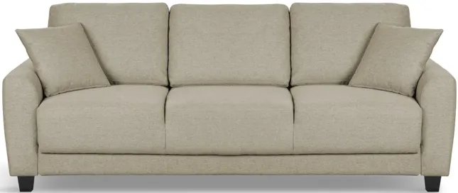 Rockwell Convertible Sofa Sleeper - Tumbleweed