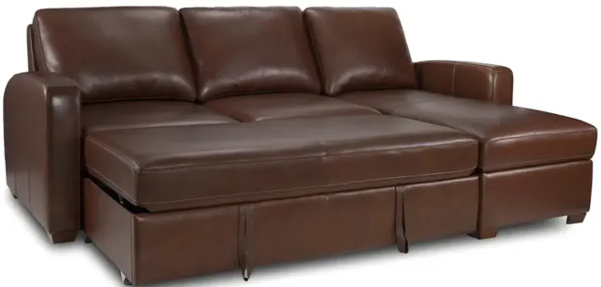 Kitchi Sleeper Sectional - Left Facing Sofa