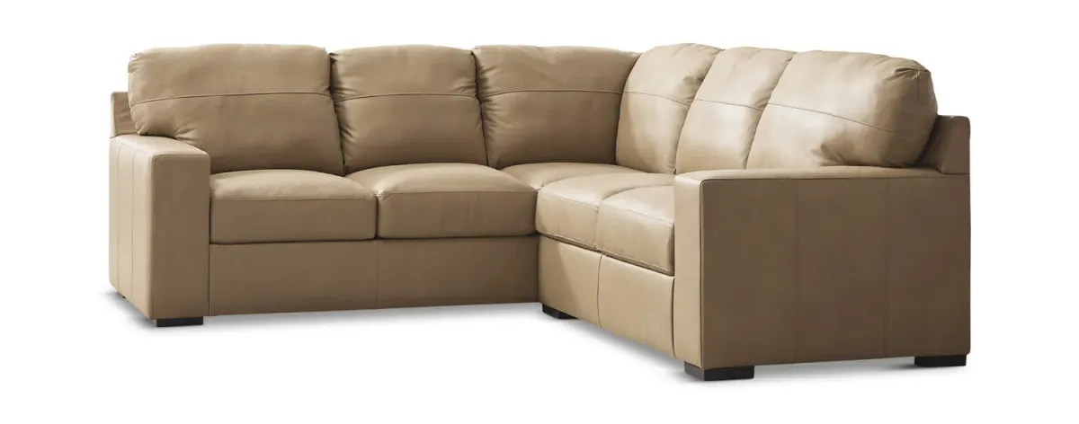 Naveen 2 Piece Leather Sectional - Right Loveseat
