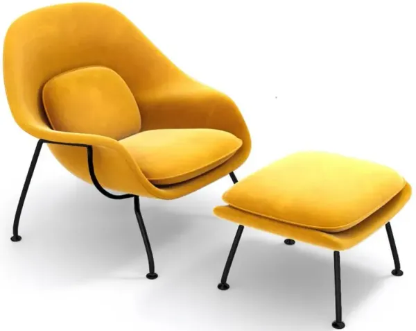 Womb Chair & Ottoman - Black Powder-Coated Steel Legs