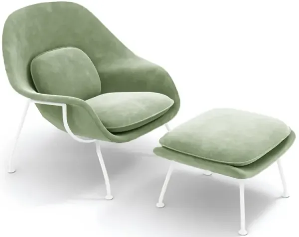 Womb Chair & Ottoman - White Powder-Coated Steel Legs