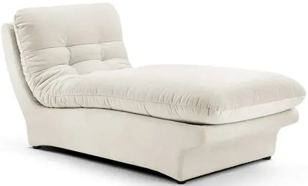 Carsons Mid Century Curved Modular Sectional Sofa | Lounge Module