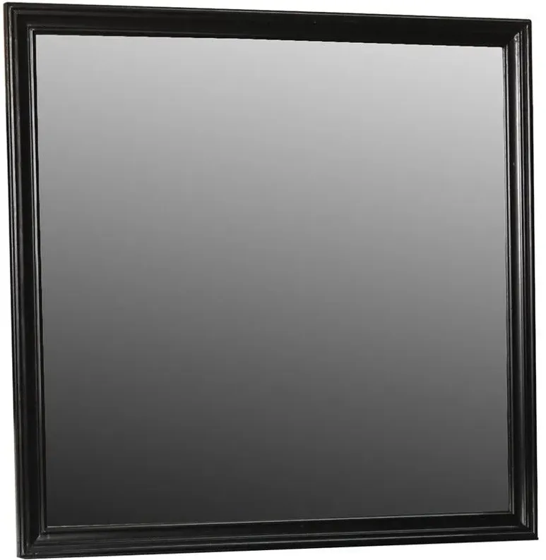 Black Tamarack Mirror