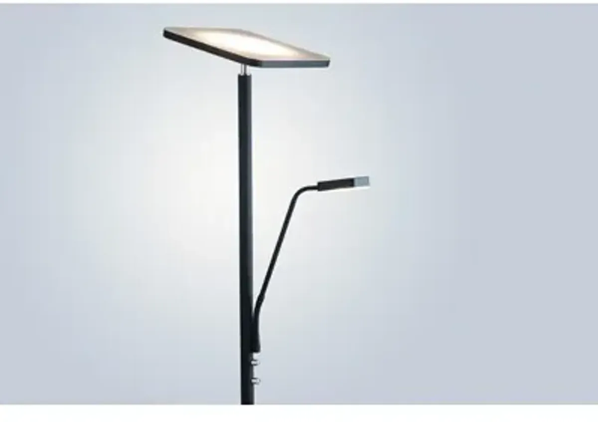 Hector LED Floor Lamp