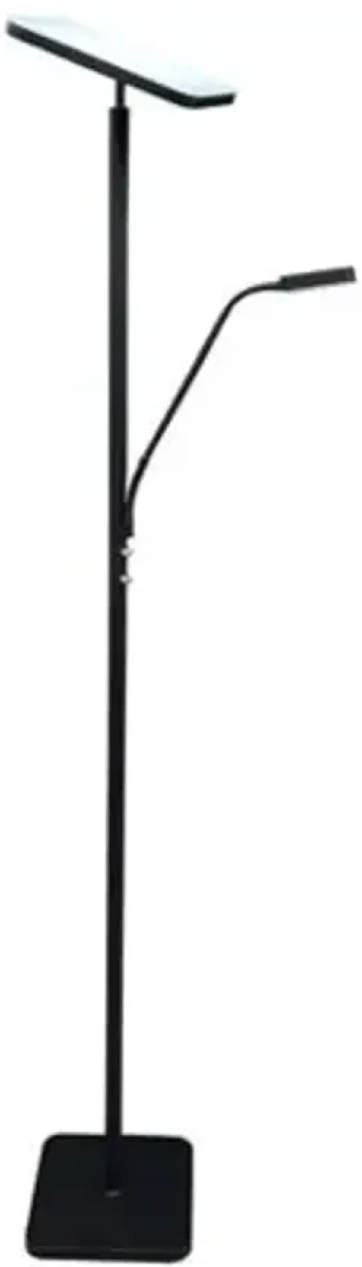 Hector LED Floor Lamp