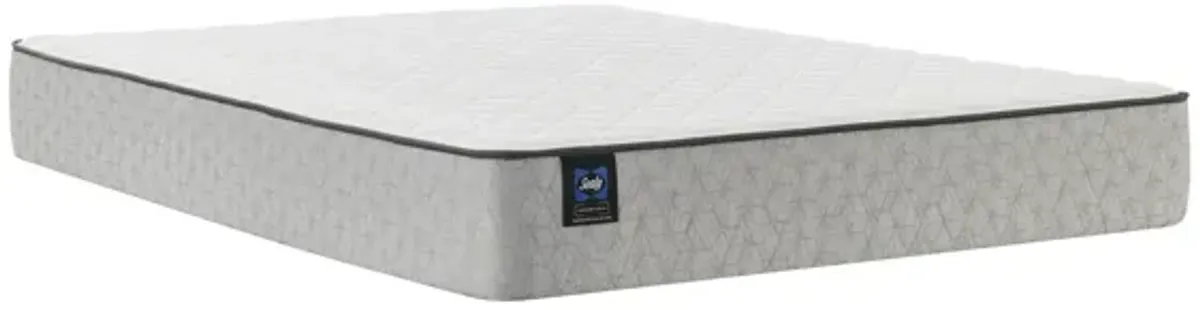 Twin Summer Elm Firm Mattress