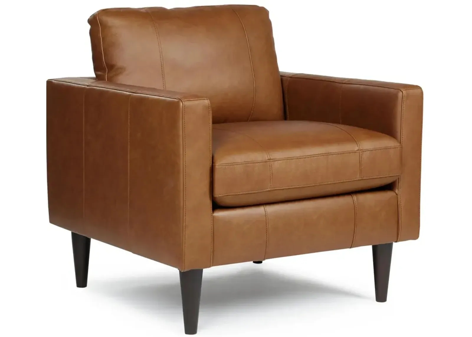 Rust Trafton Leather Chair