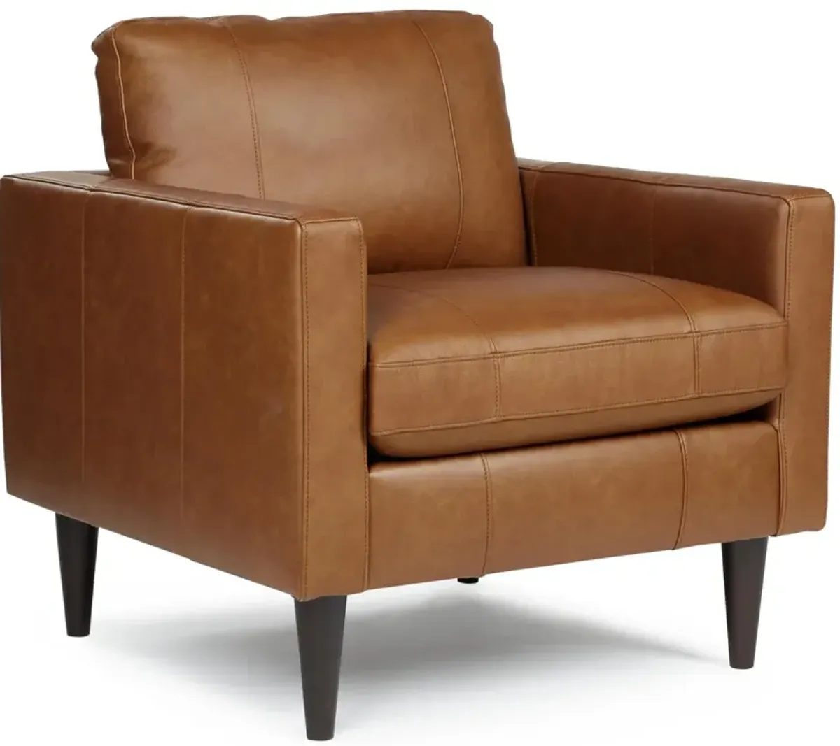 Rust Trafton Leather Chair