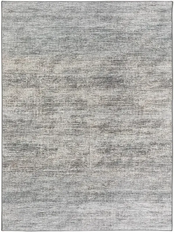 5x8 Ciara Graphite Rug