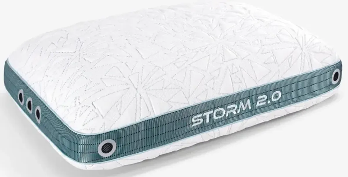 Storm 2.0 Pillow