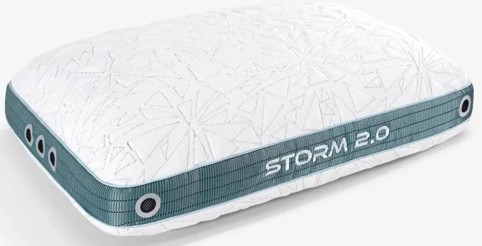 Storm 2.0 Pillow