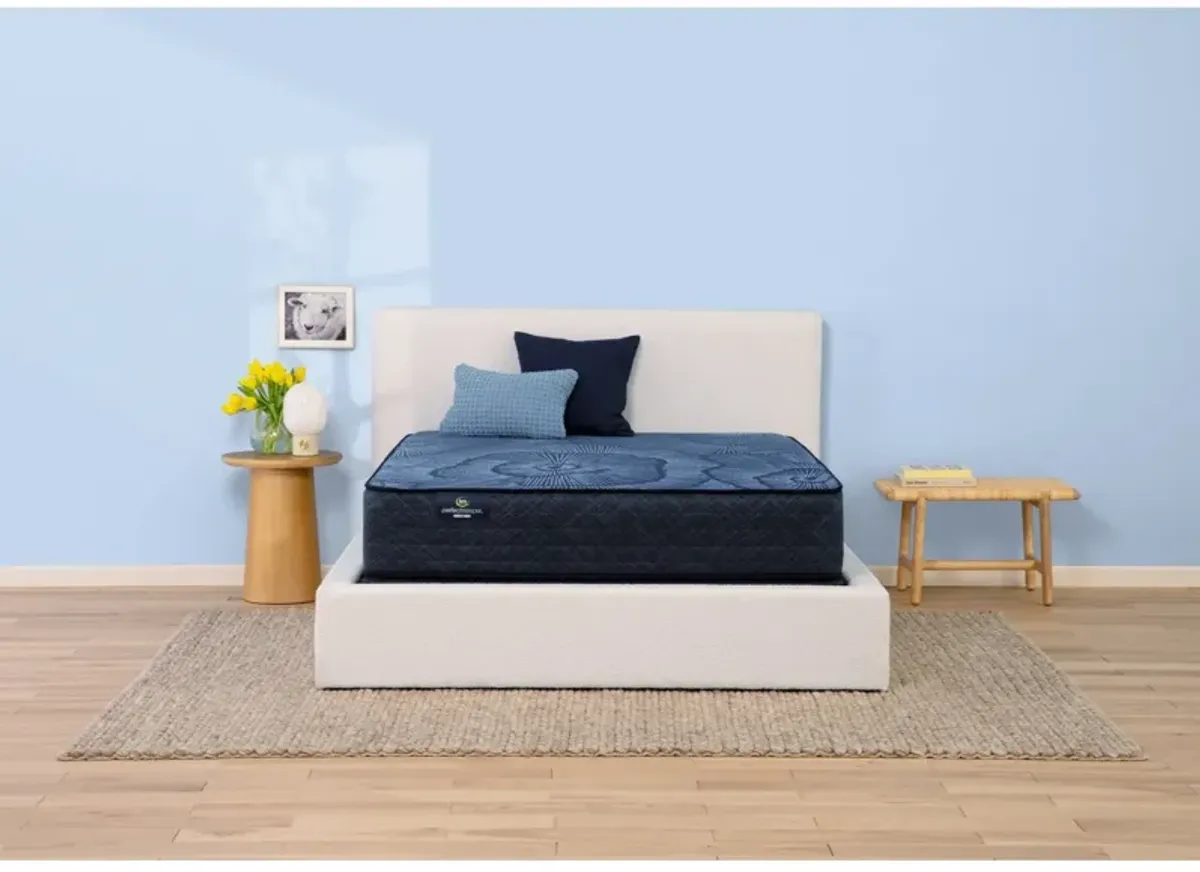 Twin Delani Dreams Medium Perfect Sleeper Mattress