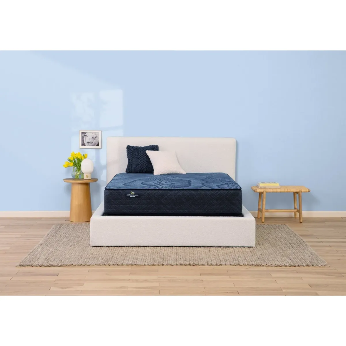 Twin Delani Dreams Firm Perfect Sleeper Mattress