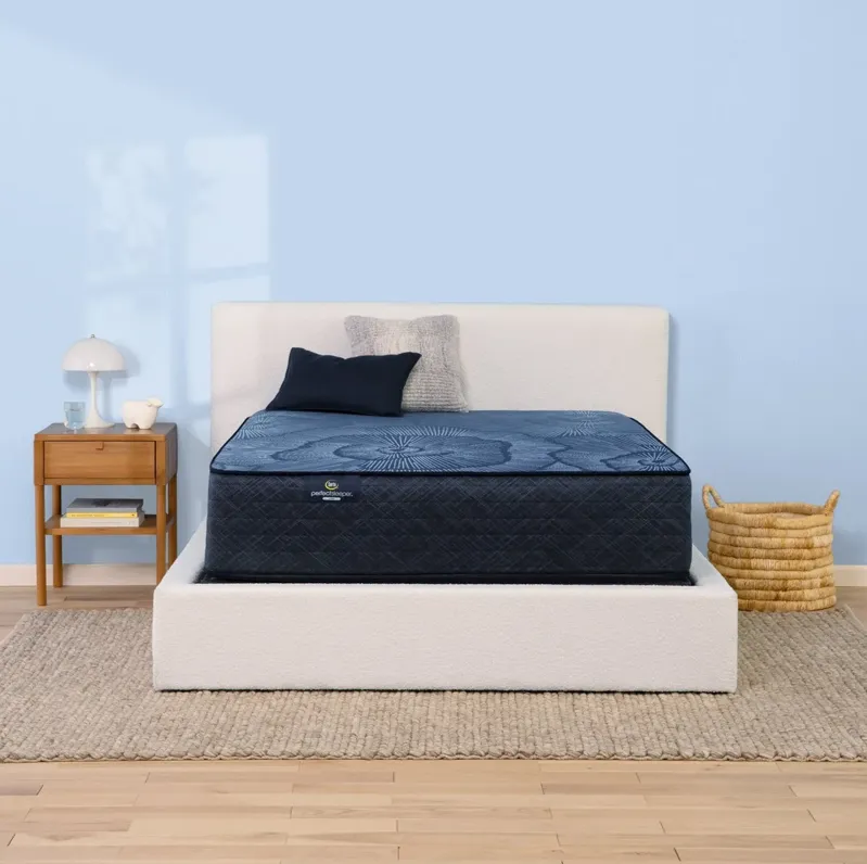 Full Ellaville Nights Plush Hybrid Mattress