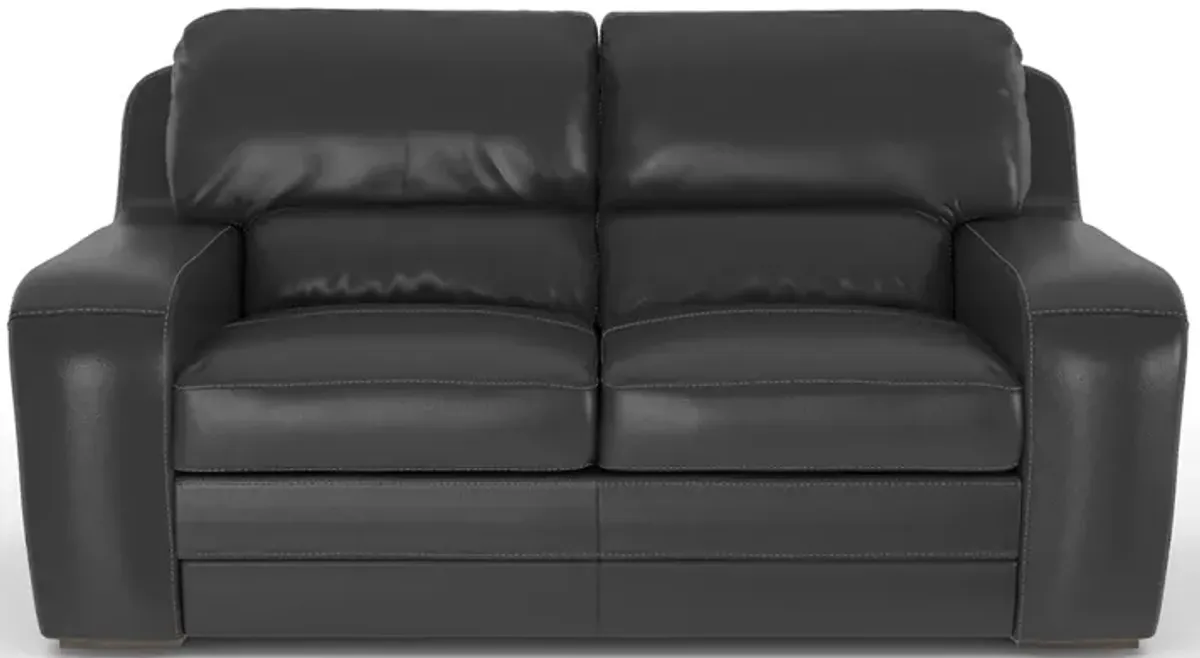 Boise Leather Loveseat