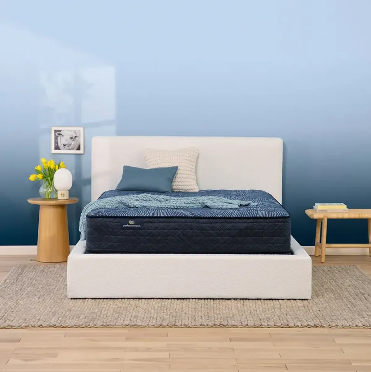 Queen Chattahoochee Extra Firm Perfect Sleeper Mattress