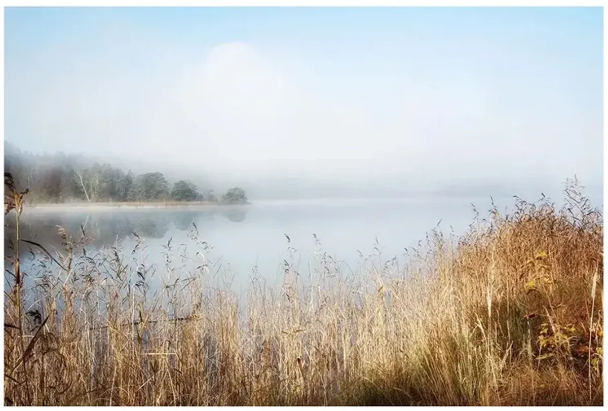 Lovely Nature